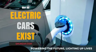 Why Electric Cars Exist: Revolutionizing Transportation for a Sustainable Future