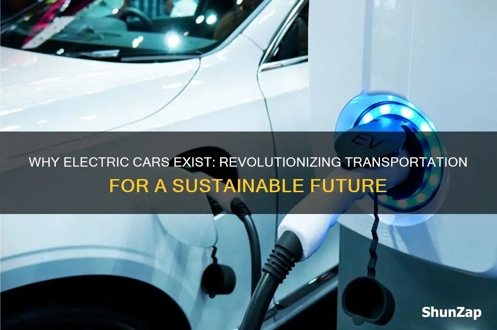 why do electric cars exist
