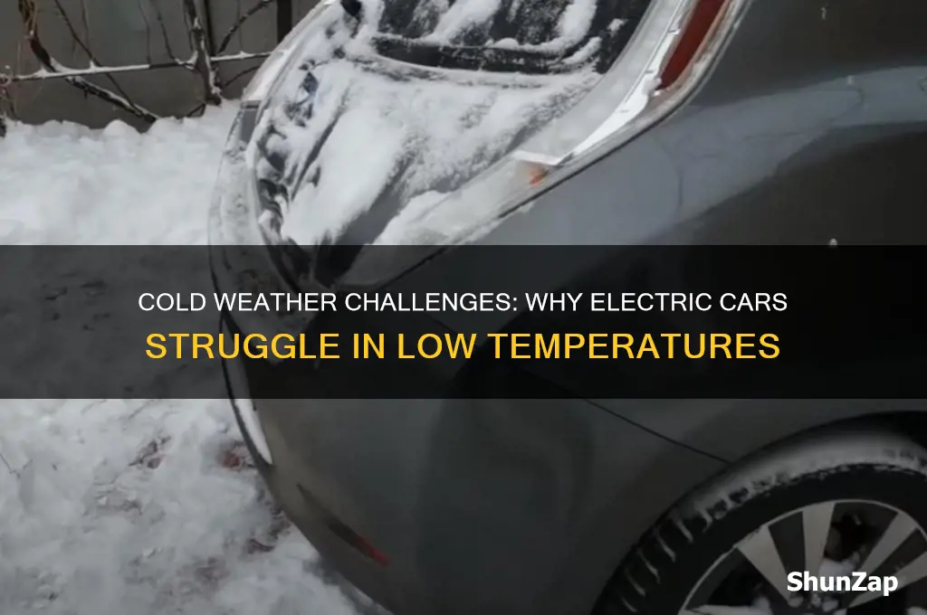 why do electric cars fail in cold temperatures