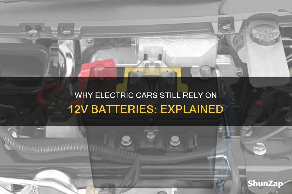 why do electric cars have 12v batteries