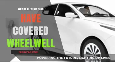 Why Electric Cars Feature Covered Wheel Wells: Aerodynamics and Efficiency Explained
