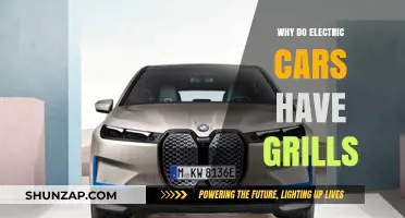 Why Electric Cars Still Feature Grills: Design or Function?