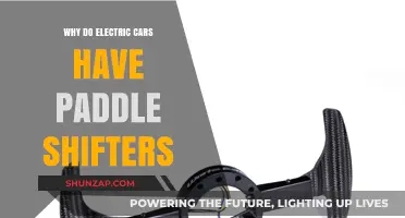 Why Electric Cars Feature Paddle Shifters: Unlocking Their Surprising Purpose