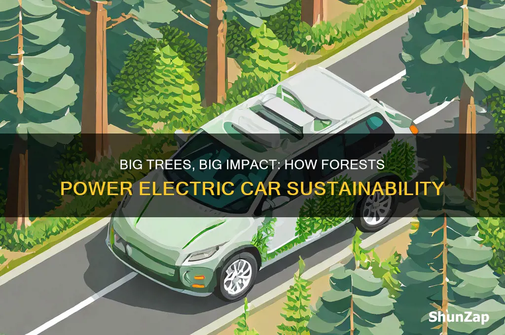 why do electric cars need big trees