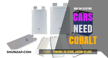Why Cobalt is Crucial for Electric Car Batteries and Performance