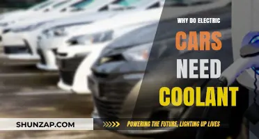 Why Electric Cars Need Coolant: Unveiling the Thermal Management Mystery