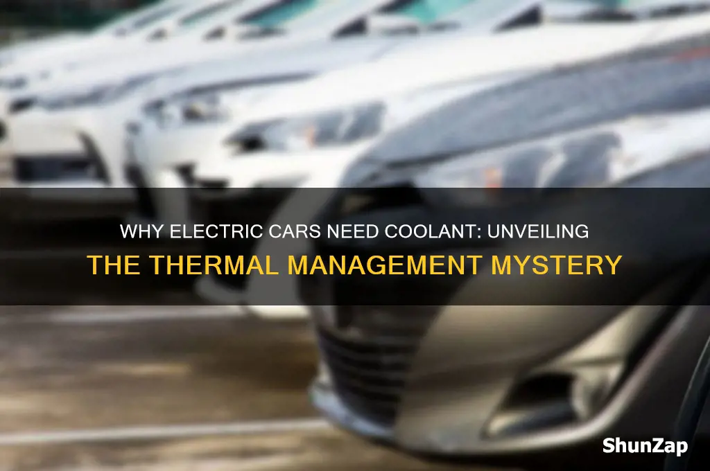 why do electric cars need coolant