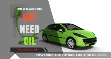 Electric Cars Skip Oil: Understanding Their Maintenance-Free Advantage