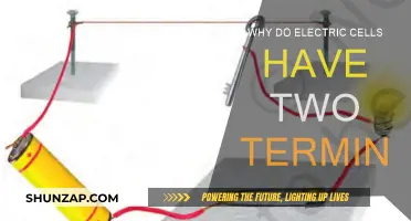 Electric Cell Terminals: Why the Need for Two?