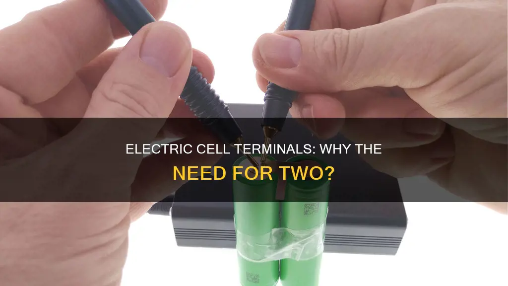 why do electric cells have two terminals