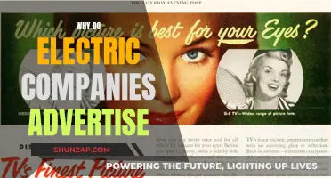 Electric Companies: Advertising for Customer Loyalty and Trust