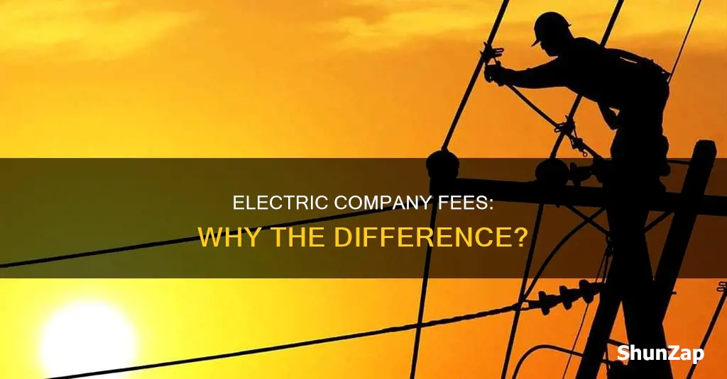 why do electric companies differ in fees
