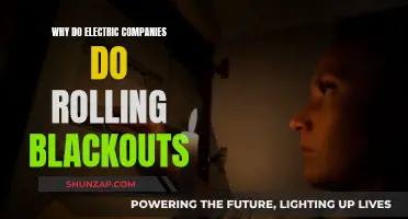 Electric Companies and Rolling Blackouts: Managing Demand and Supply