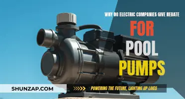 Electric Companies: Pool Pump Rebates for Energy Efficiency