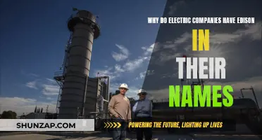 Electric Companies' Names: Honoring Edison's Legacy