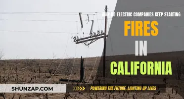 California's Electric Companies: Fire Starters or Firefighters?