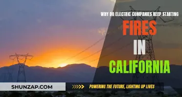Electric Companies: California's Arsonists or Negligent Neighbors?