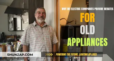 Electric Companies' Rebates: Recycling Old Appliances for a Greener Future