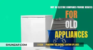 Electric Companies: Old Appliance Rebates for Energy Efficiency