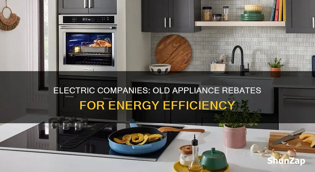 why do electric companies provide rebates for old appliances