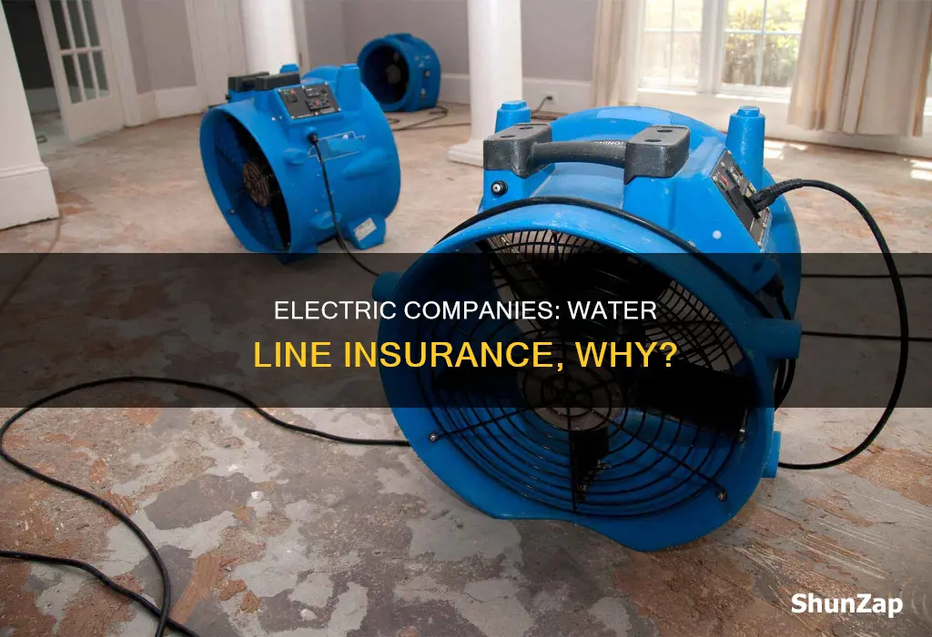 why do electric companies sell insurance for water lines