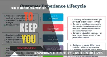 Electric Companies: Retention Strategies and Customer Loyalty