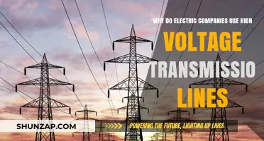 Why Electric Companies Rely on High Voltage Transmission Lines
