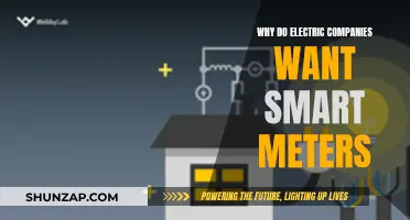 Smart Meters: Electric Companies' Preferred Choice for Energy Efficiency
