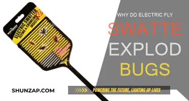 Electric Fly Swatters: Instant Bug Explosions