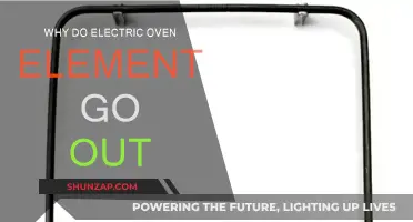 Electric Oven Elements: Why They Burn Out