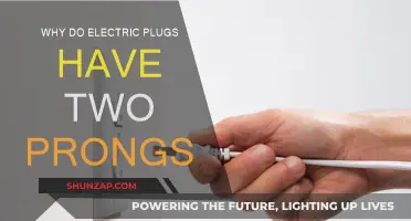 Electric Plugs: Dual Prongs for Safety and Balance