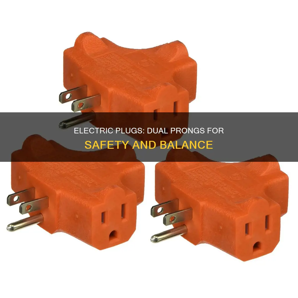 why do electric plugs have two prongs