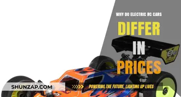 Understanding the Price Variations in Electric RC Cars