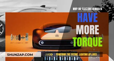 Electric Vehicles: High Torque, Explained