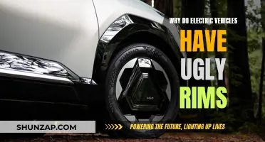 Electric Vehicles: Aesthetics vs. Functionality: Why Ugly Rims?