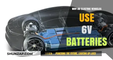 Why Electric Vehicles Use 6V Batteries: Unraveling the Power Choice