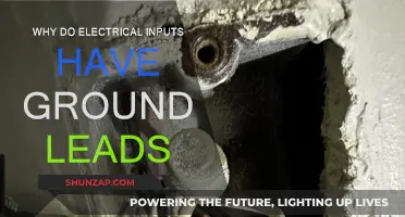 Ground Leads: Electrical Inputs' Safety and Functionality