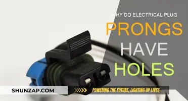Electrical Plug Prongs: Holes for Safety and Functionality