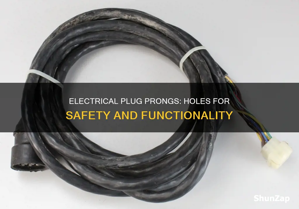 why do electrical plug prongs have holes