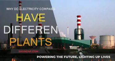 Electricity Companies: Diverse Plants, Diverse Strategies