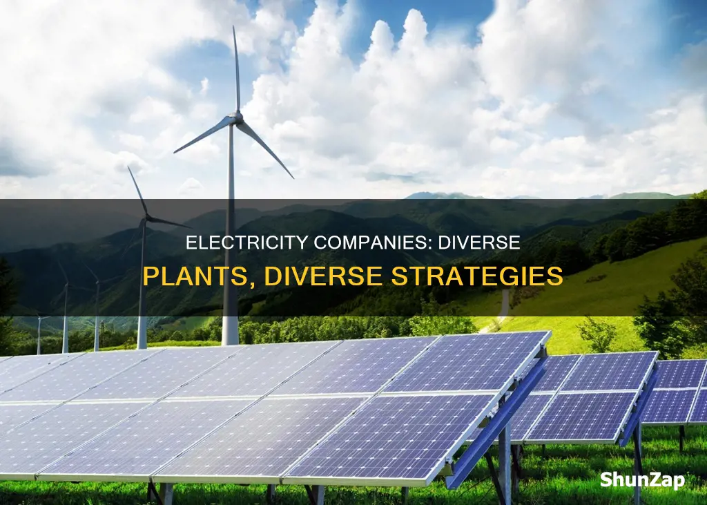 why do electricity compaies have different plants