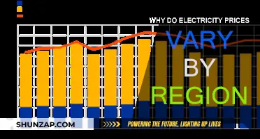 Electricity Prices: Regional Differences and Their Causes