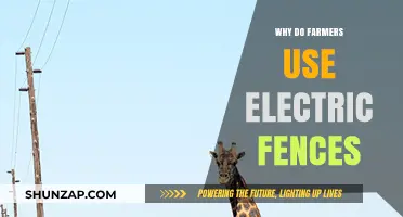Electric Fences: Essential Tools for Modern Farming Efficiency and Safety