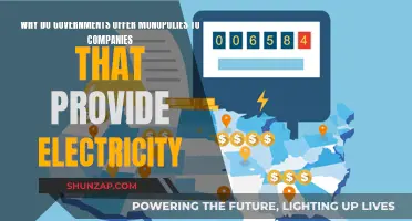 Governments Granting Electricity Companies Monopoly Powers: Why?