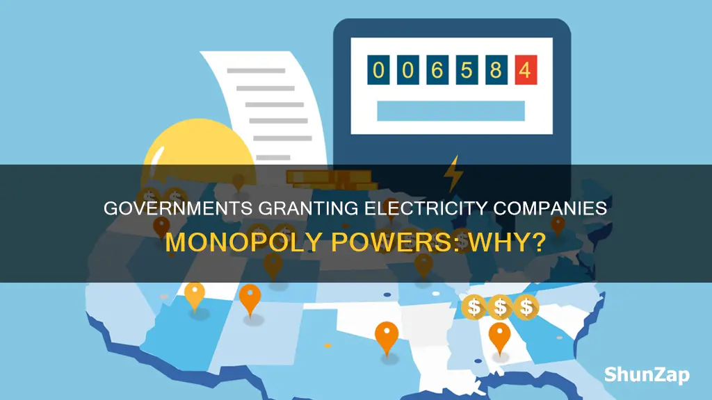 why do governments offer monopolies to companies that provide electricity