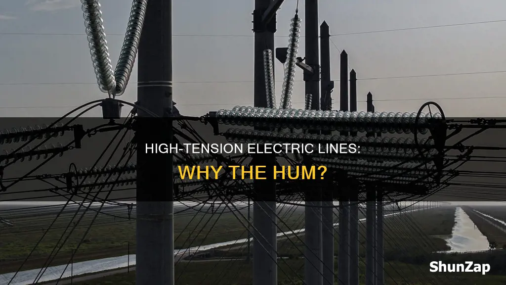 why do high tension electric lines hum