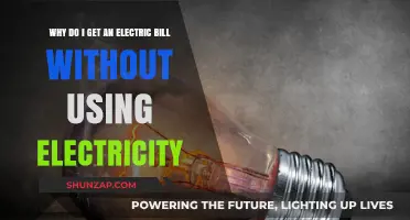Understanding Phantom Charges: Why Your Electric Bill Doesn't Reflect Zero Usage