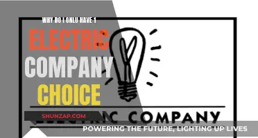 Electric Company Monopoly: Why Only One Choice?