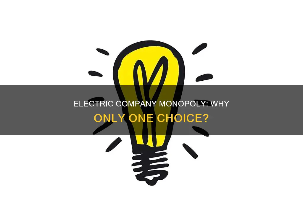 why do i onlu have 1 electric company choice