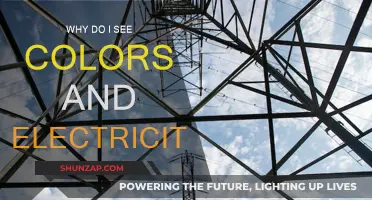 Hallucinations: Colors and Electricity, Why?